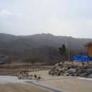 참숯나라 이미지