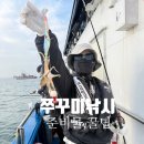 태안호스릴-58 | 인천 쭈꾸미낚시 가을의 손맛을 느끼다 준비물 꿀팁 알려드려요 쭈꾸미 몇마리 잡았나면요 인천제일바다...