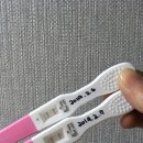 본도시락(마곡나루점) | 미래아이산부인과