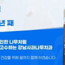 나무 치과기공소 이미지