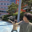 아이월드 | 여수 루지월드 솔직 후기 | 아이와 가볼만한곳 추천 (입장료, 주차, 이용팁 총정리) 🎢