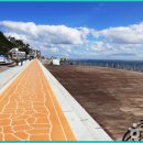 묵호항수변공원 티스토리