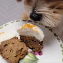 더맛있개 이미지