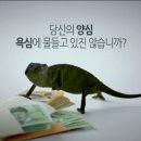 광고나라 이미지