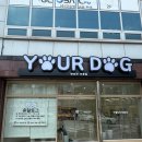 유얼도그 이미지