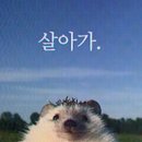 (주)강윤 | 35도에 대우관 다니는 사람