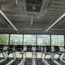 비전휘트니스 분당점 | 미금역pt 찾고 있다면? 비전휘트니스 분당점 직접 다녀온 후기