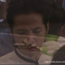 안드로메다움