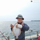 울진참가자미 이미지