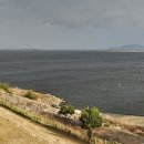 이디야커피전북모악점 | 김제 이디야커피 새만금수국섬DI점 드라이브 코스로 좋은 오션뷰 예쁜 카페로 추천해요 내돈내산 솔직후기