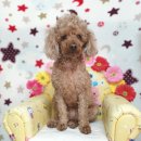 사림동125 이미지