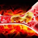 경화헬스 이미지