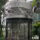 나비부화장 이미지