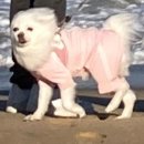 강릉 독채 펜션 추천 [소금강 별자리 펜션]/풍경도 내부도 너무 예쁜 펜션 추천