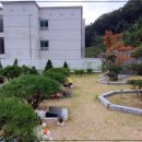 효심공원 이미지