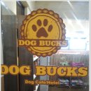 도그카페 이미지