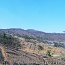 비봉산 정상부 이미지