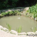 호반애견훈련소 이미지