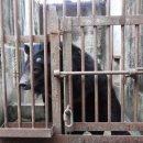 웅담농장 이미지