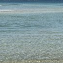 남원읍-83 이미지