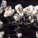 바람길목 이미지