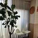 테크노중앙대로1길 | 현풍테크노폴리스 중식 맛집, 가족외식하기 좋았던 미미중화요리 후기