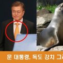 강치