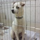 산호동010 이미지