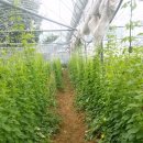 둔덕농장3 이미지