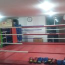 파워 복싱 스쿨 이미지