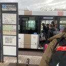 카멜리아 이미지