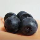 21세기냉동 이미지