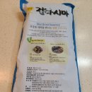 바이씨