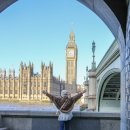 에로스파크 | 영국 런던 여행 시내투어 런던아이 빅벤 to 트라팔가