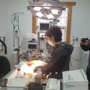 울산광역시 야생동물구조센터 이미지