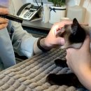 시그널동물병원 이미지