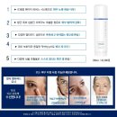 르네셀 이미지