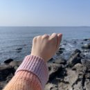 해림목장 이미지