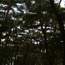 솔바람길 이미지