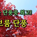 덕화농장 이미지