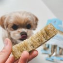 프로덴탈 | 강아지 입냄새 치석 고민 해결! 굿포펫 이즈바이트 버블덴탈껌 솔직 후기