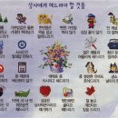 일도상사 이미지