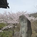 지리산로시난테하우스 이미지