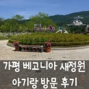 궁전어린이집 | 가평 베고니아 새정원 아이랑 다녀온 내돈내산 후기 알고 보니 통일교?