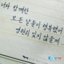 펫119 | 구로 강아지 장례식장 방문이 어렵다면, 직장인을 위한 무방문 출장 장례 서비스(펫119)