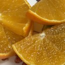 태현농장 | 달콤함이 다른 제주 태현농장 황금향 3kg 선물용 후기