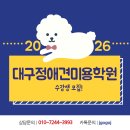 애견미용학원🏆 사월역 도보 3분! 6월 시작이 망설여진다면? 대구정애견미용학원 솔직 후기 스타일 안내😊