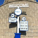 블루아라 이미지