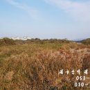 탑 직업소개소 이미지