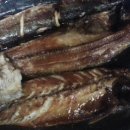 주문진물회 - 용인시 처인구 백옥대로 849 | 주문진물회